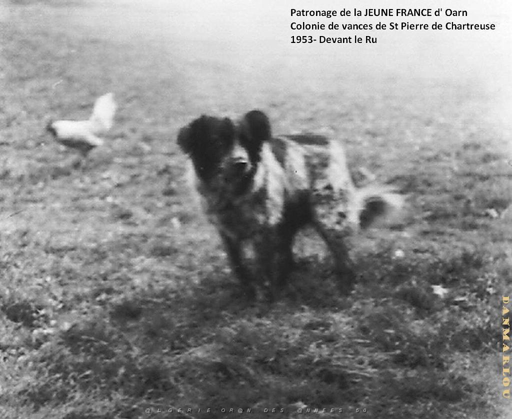 COLO JEUNE FRANCE 1953 devant le Ru 7.jpg